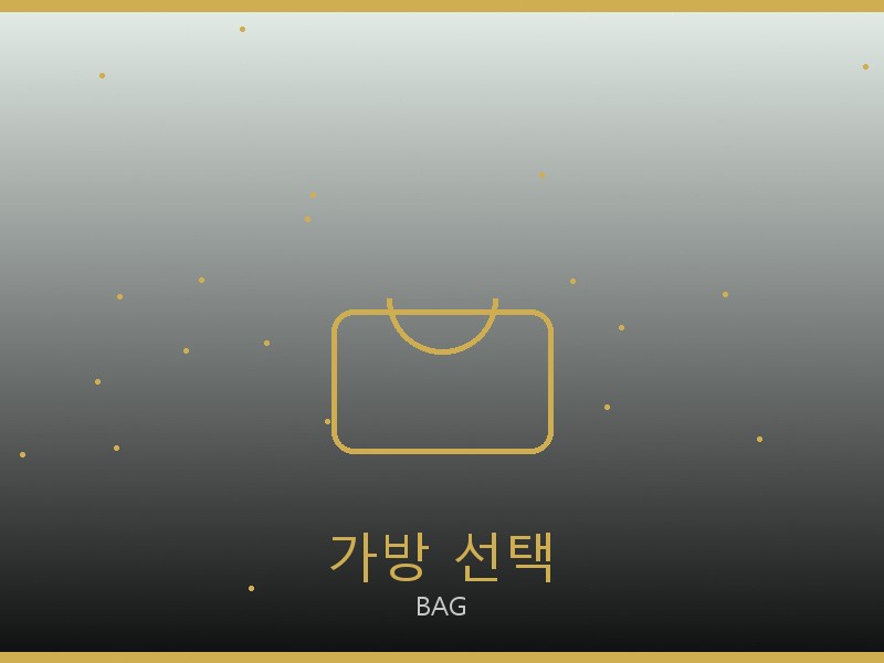 올인 BB S급 가방 선택 가이드