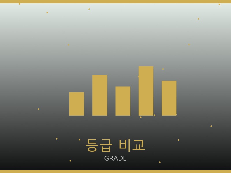 올인 BB S급 등급 기준 비교